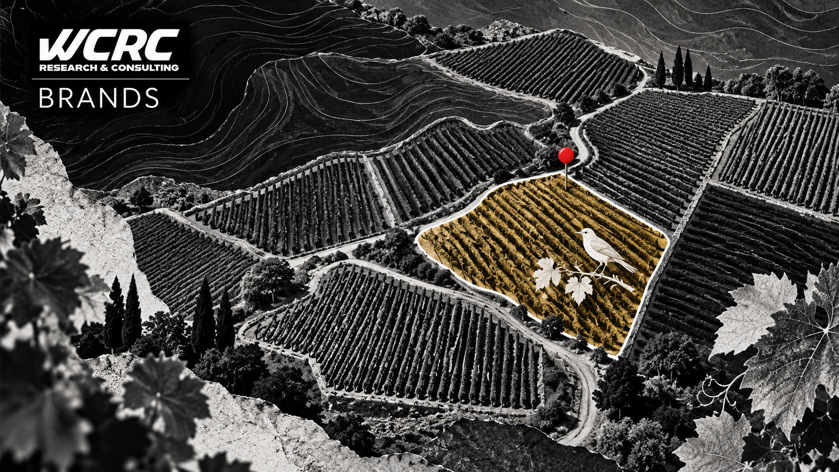 Suntory’s winery certification shows why an environmental claim needs a boundary